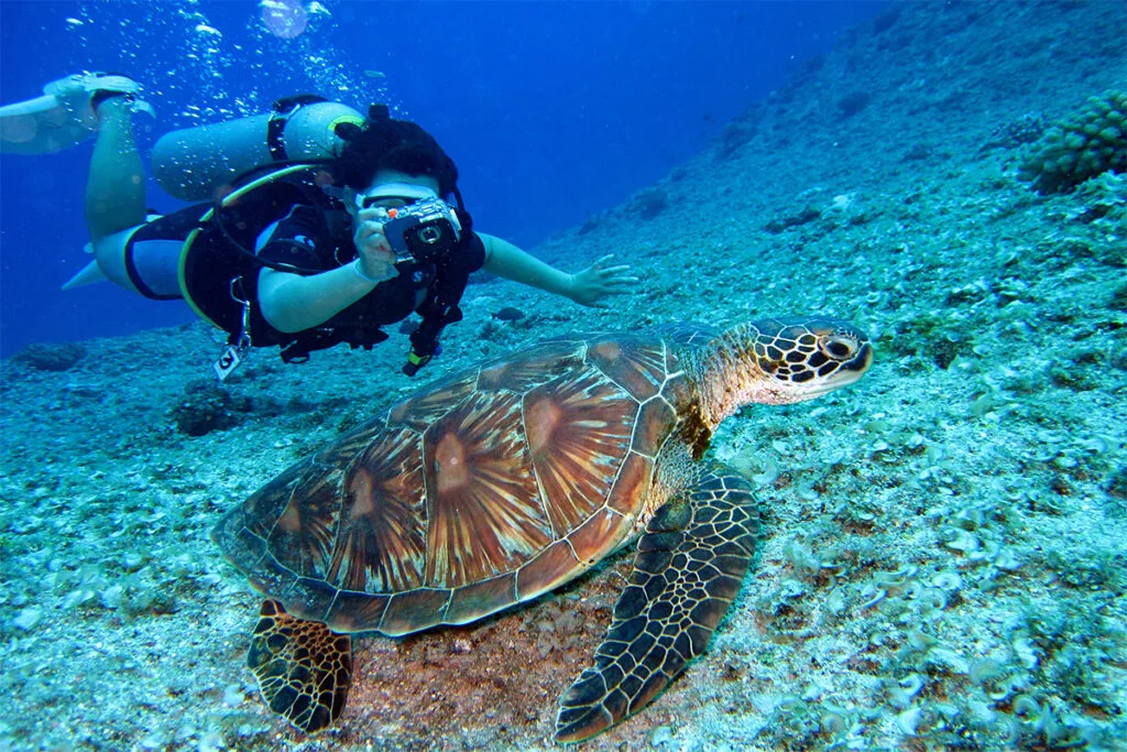 Best Scuba Diving Adventure in Goa 2025