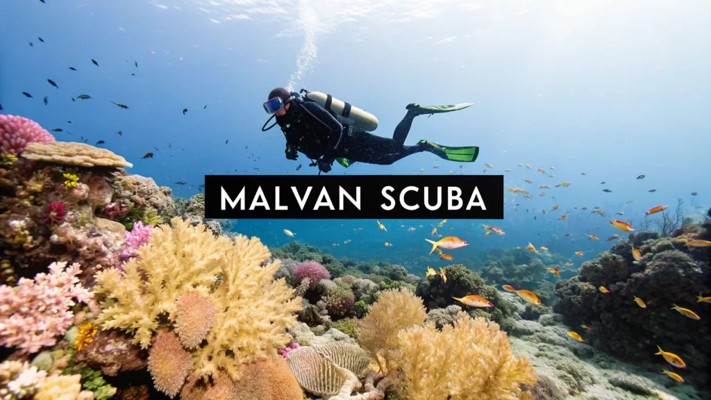 featured image f1f59558 2e9e 4e31 aa7d 6eeb0140896d